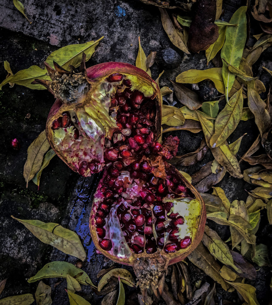 Il melograno