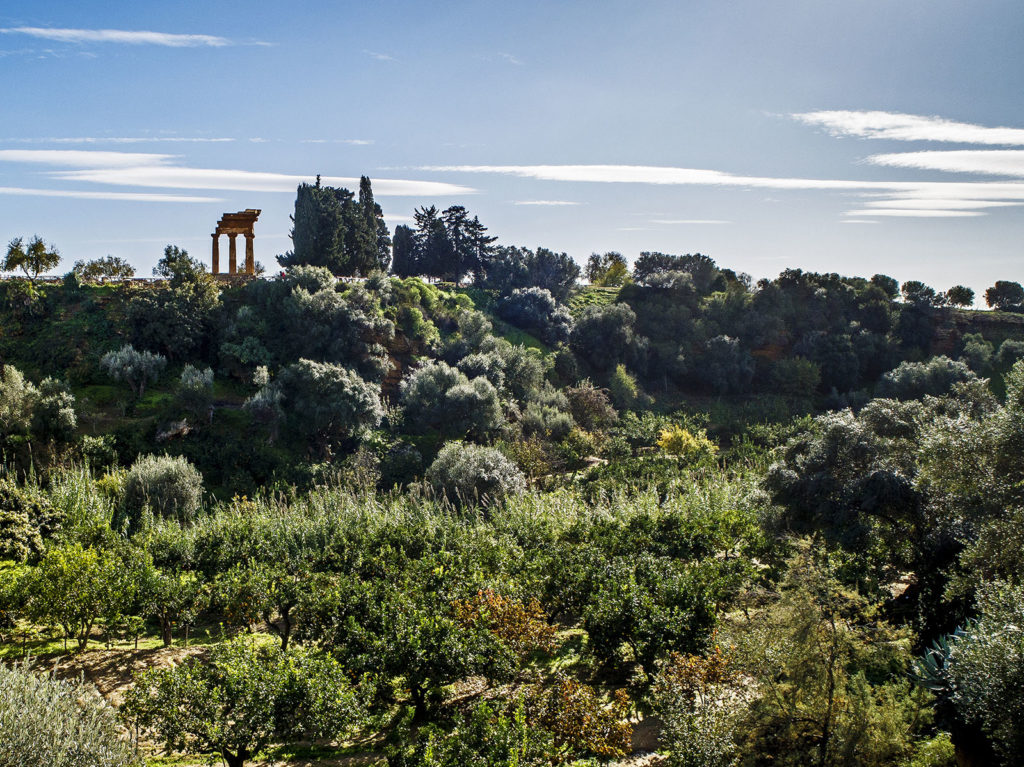 I giardini della Kolymbetra 