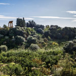 I giardini della Kolymbetra