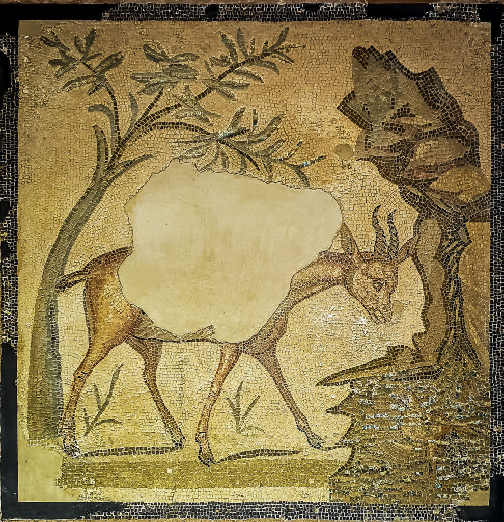 Pavimenti a mosaico – Mosaico della Gazzella