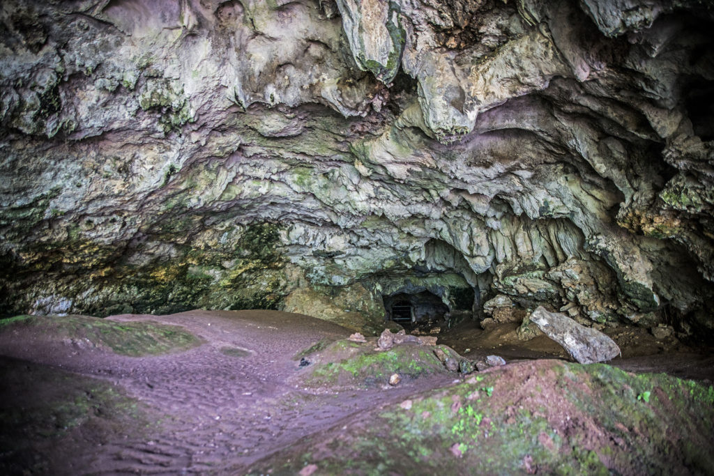 La grotta dei pipistrelli