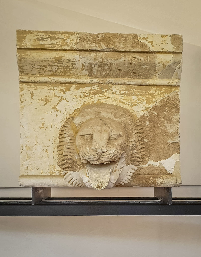  lion's head