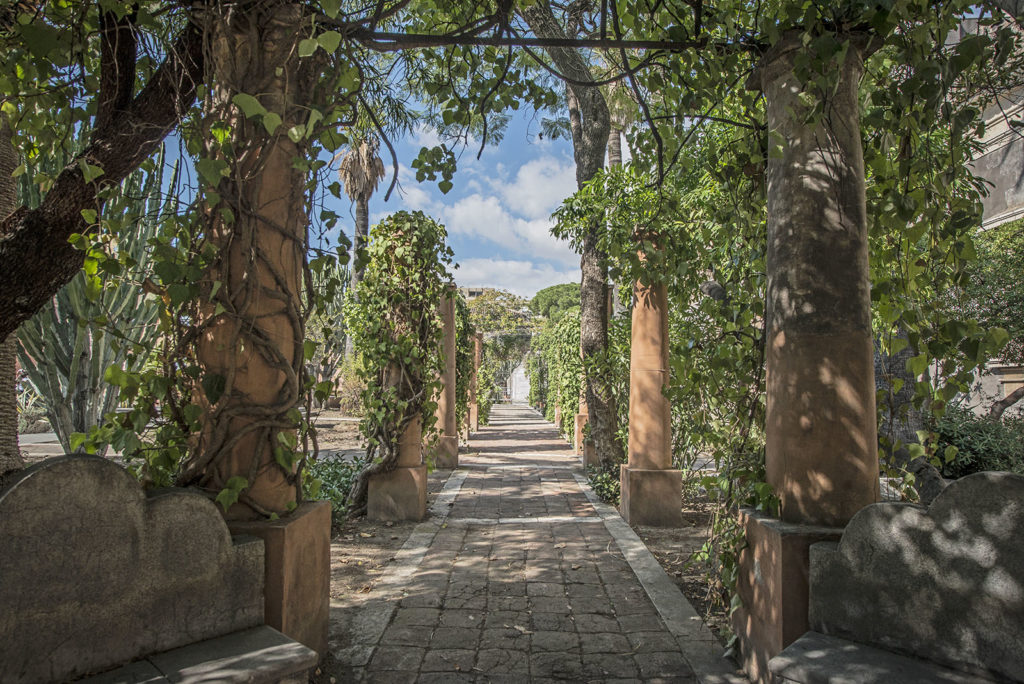 foto giardino novizi