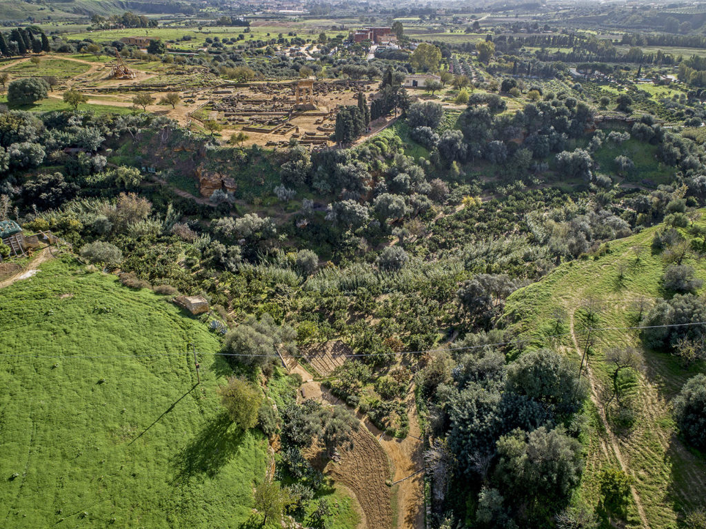 I giardini della Kolymbetra 